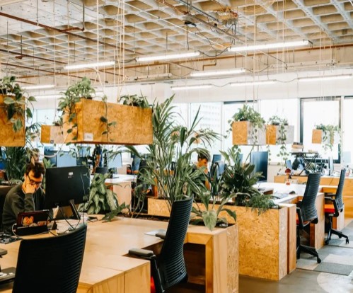 Cowork